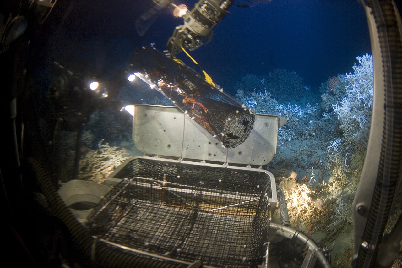 Deep Sea Diver